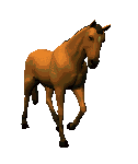 Le cheval